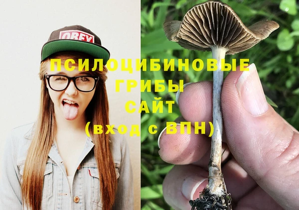 амфетамин Алексеевка